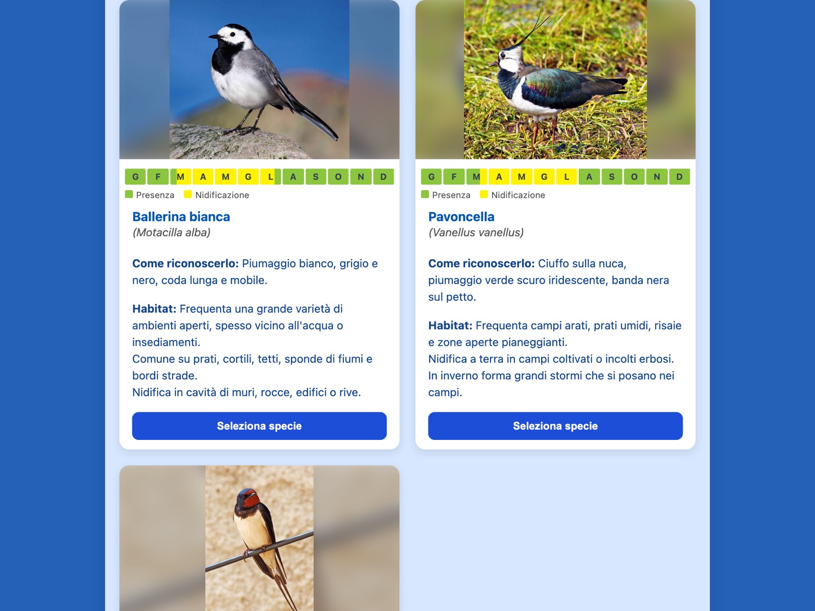 Invio guidato: Uccelli (selezione specie)
