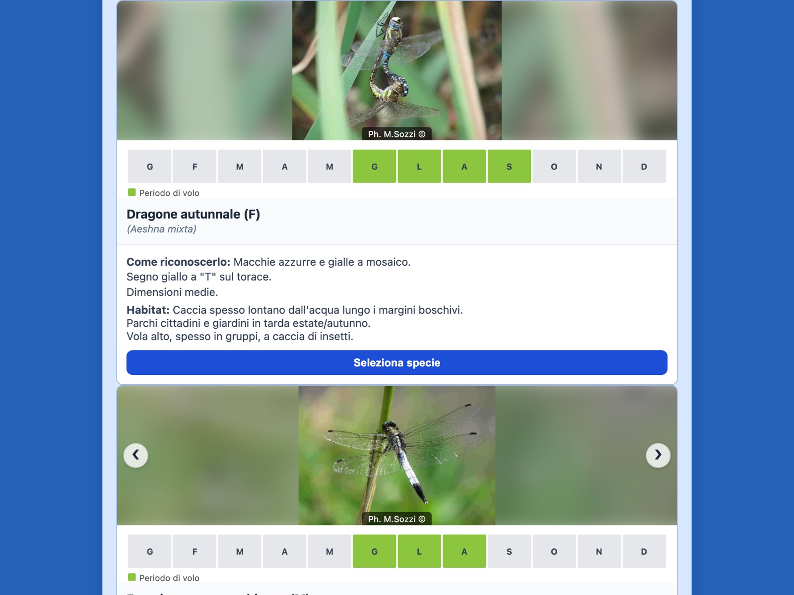 Invio guidato: Libellule (selezione colore)